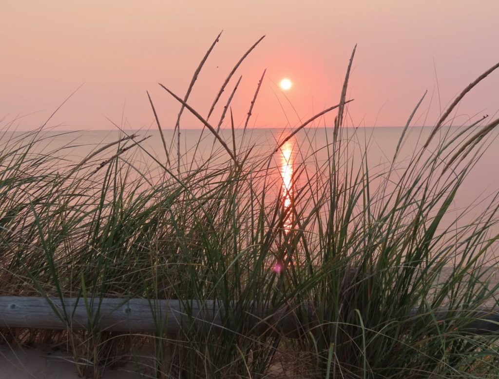 sunset over water with grass in forefront
