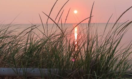 Called to Stillness: God’s Invitation to Rest