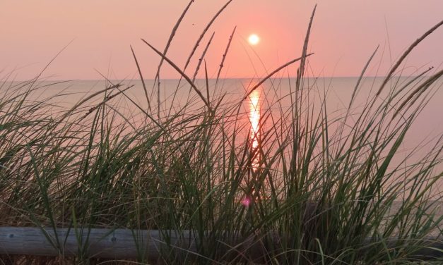 Called to Stillness: God’s Invitation to Rest